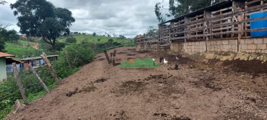 fazenda-venda-fazenda-em-cangalheiros-bonfim-mg-509893