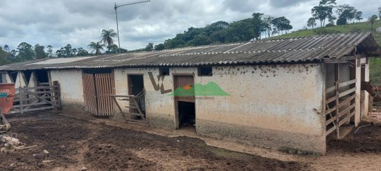 fazenda-venda-fazenda-em-cangalheiros-bonfim-mg-509895