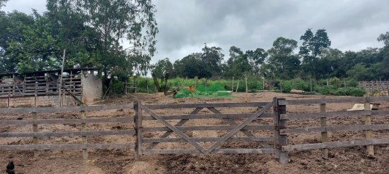 fazenda-venda-fazenda-em-cangalheiros-bonfim-mg-509897