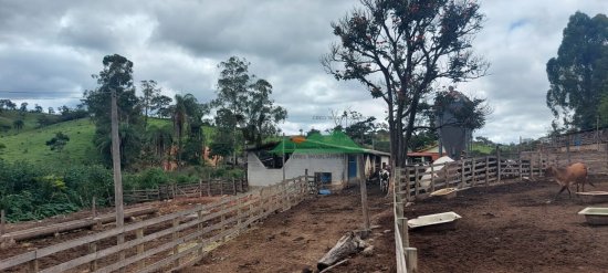 fazenda-venda-fazenda-em-cangalheiros-bonfim-mg-509901