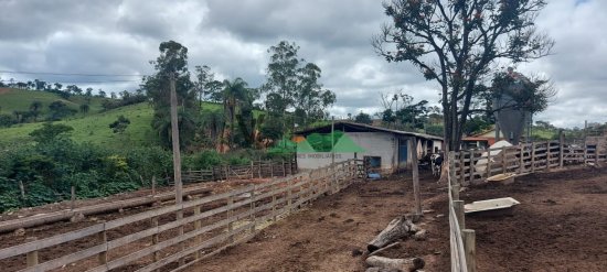 fazenda-venda-fazenda-em-cangalheiros-bonfim-mg-509902