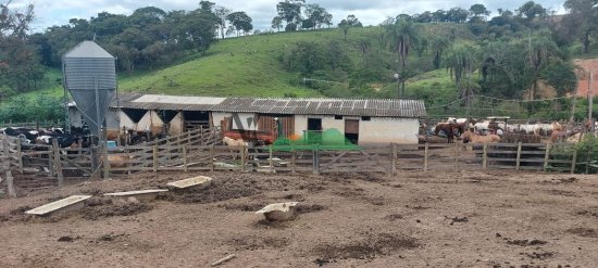 fazenda-venda-fazenda-em-cangalheiros-bonfim-mg-509886