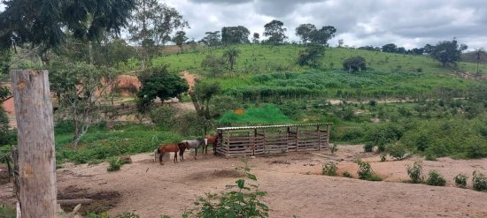 fazenda-venda-fazenda-em-cangalheiros-bonfim-mg-509889